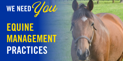 WE NEED YOU | Equine Management Practices Survey